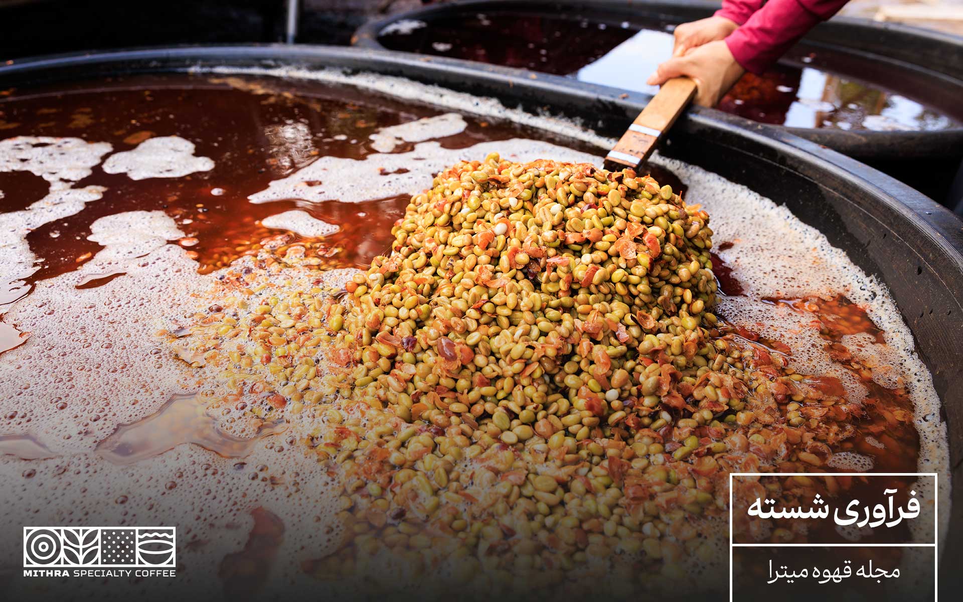 فرآوری شسته یا Washed
